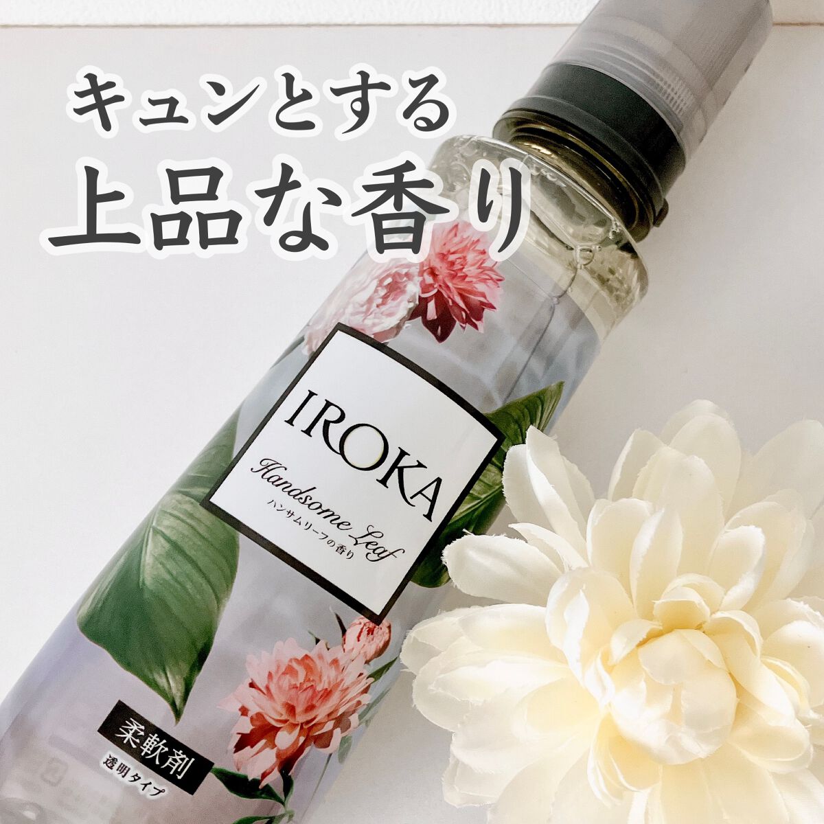プレミアム柔軟剤 IROKA ハンサムリーフの香り/IROKA/柔軟剤を使ったクチコミ（1枚目）