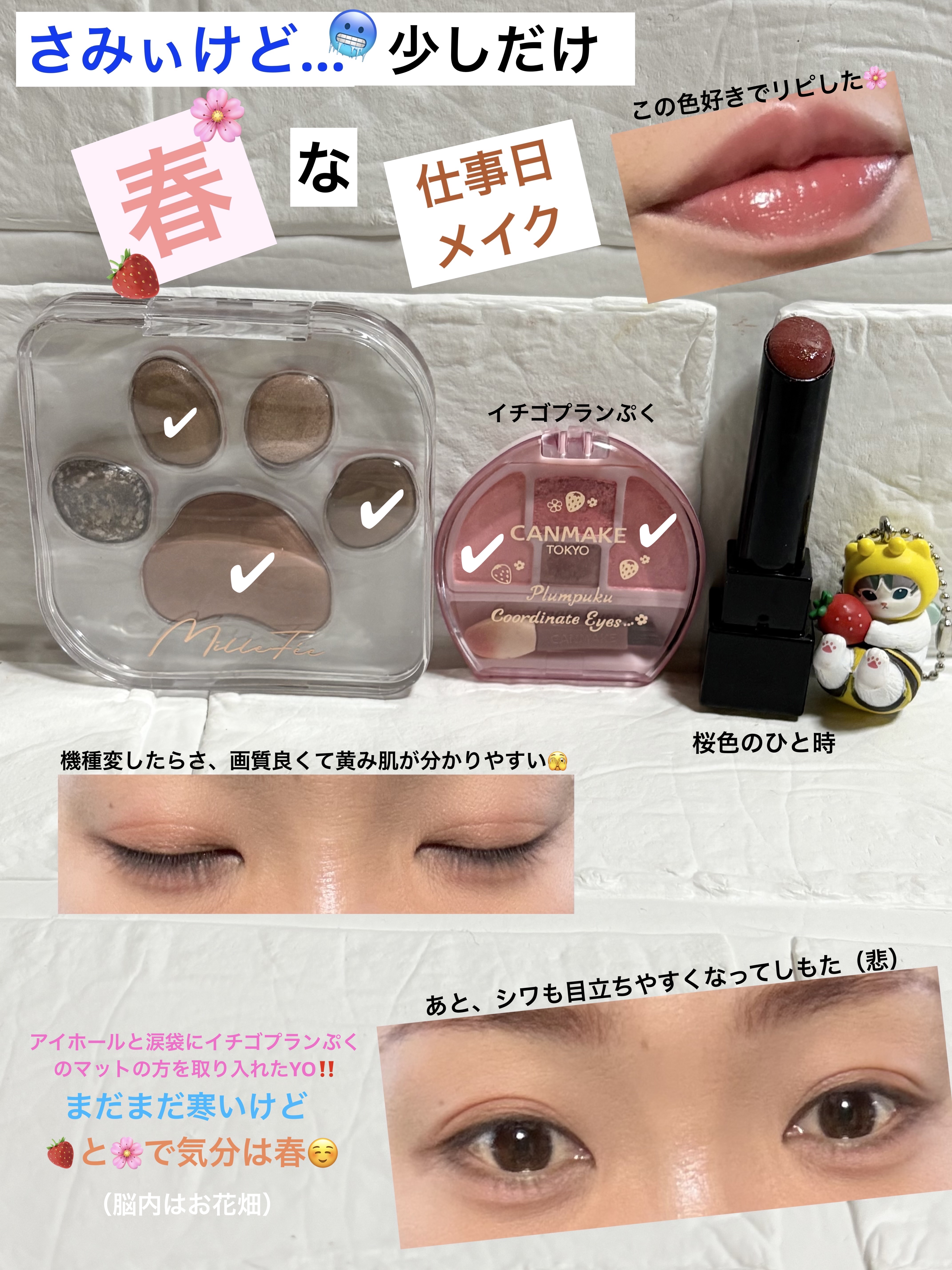 ミャオパウズアイシャドウパレット/MilleFée/アイシャドウパレットを使ったクチコミ（1枚目）