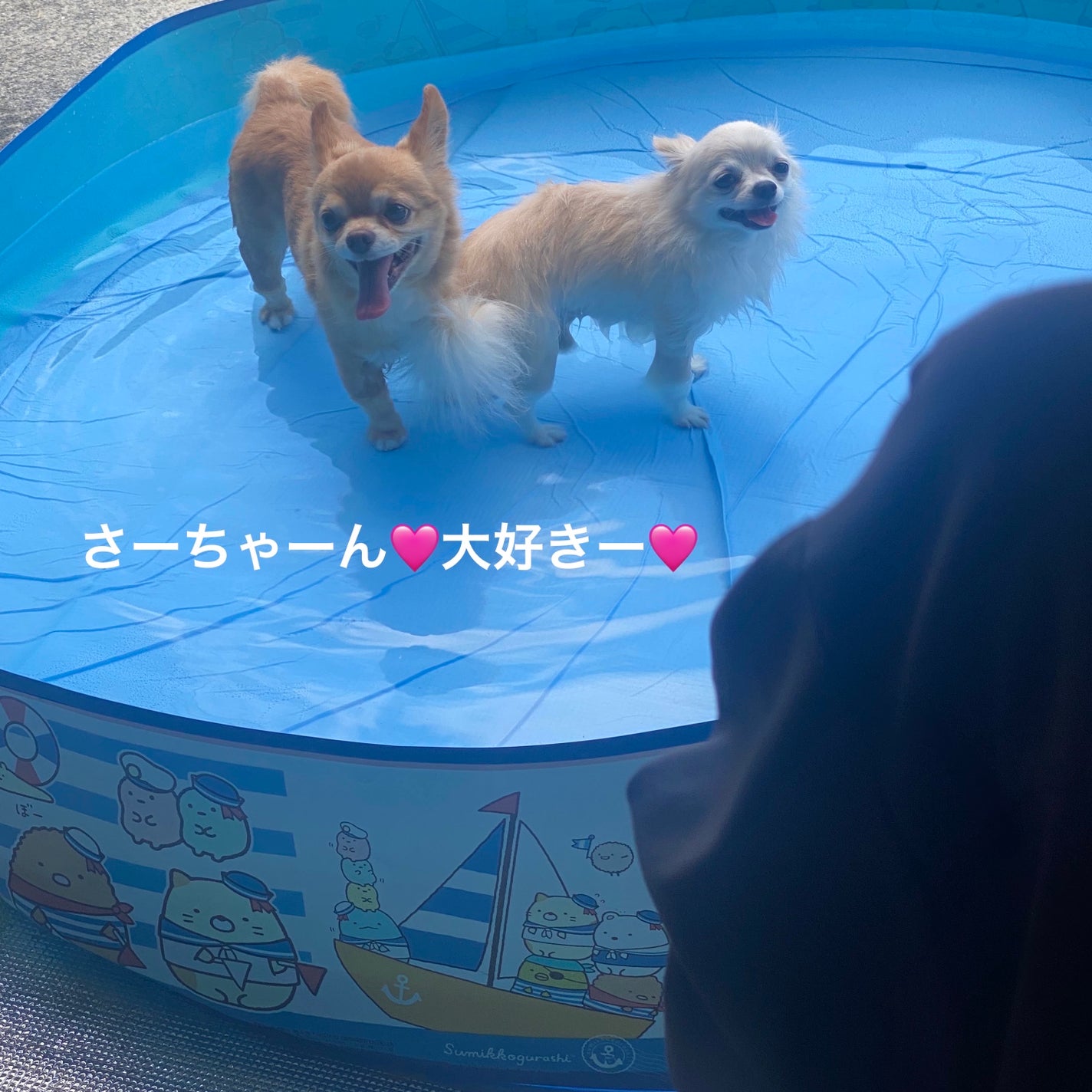 ネイルカラー/ANNA SUI/マニキュアを使ったクチコミ(10枚目)