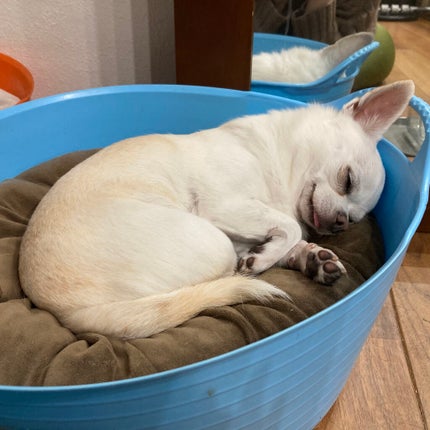 デュオ ザ クレンジングバーム/DUO/クレンジングバームを使ったクチコミ(3枚目)