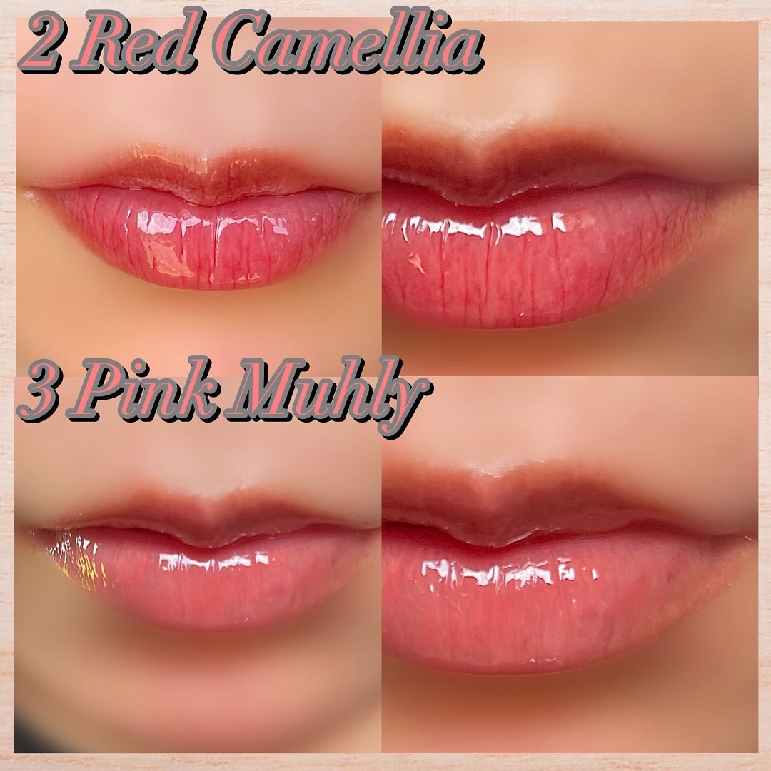 ナチュラルブルームリップオイルセラム 3色セット/PINATE/リップグロスを使ったクチコミ（3枚目）