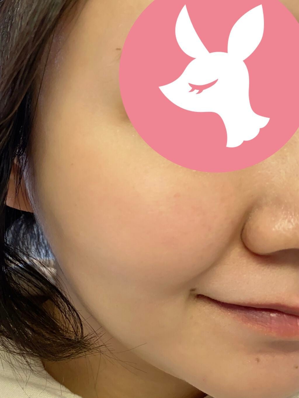 アディクション ザ ブラッシュ マット/ADDICTION/パウダーチークを使ったクチコミ(4枚目)