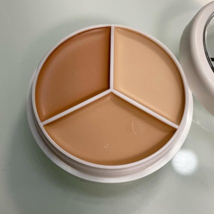 カバーアッププロコンシーラー/TFIT/パレットコンシーラーを使ったクチコミ(3枚目)