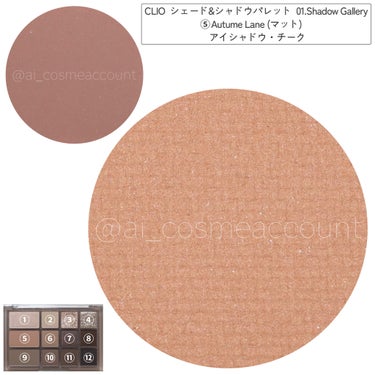 シェード アンド シャドウ パレット 01 SHADOW GALLERY/CLIO/アイシャドウパレットの画像