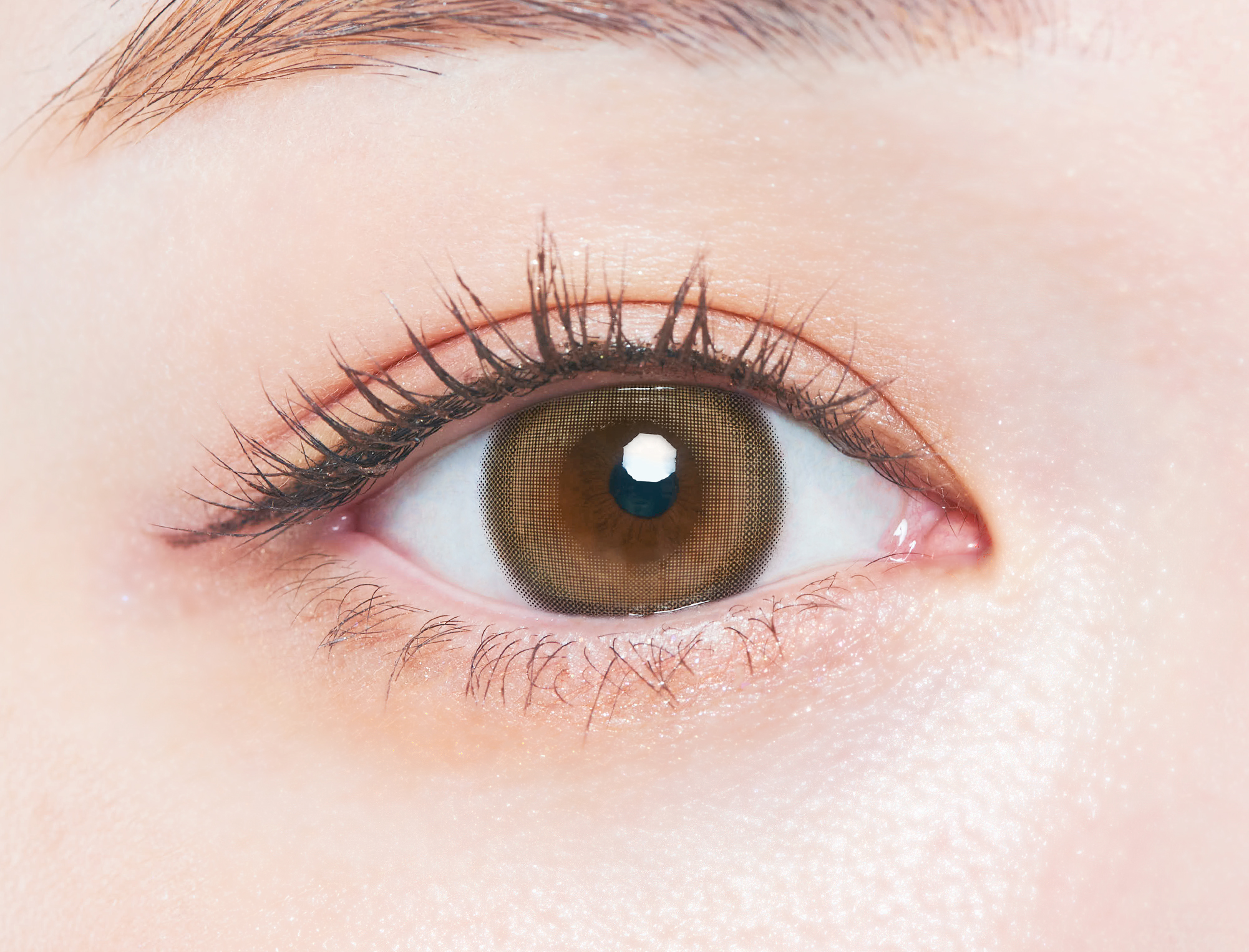 Chu's me monthly メロウキャメル