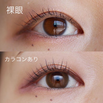 TOPARDS 1day/TOPARDS/ワンデー(1DAY)カラコンを使ったクチコミ(2枚目)