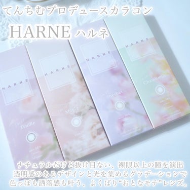 HARNE 1day シャーベット/HARNE/ワンデー（１DAY）カラコンの画像