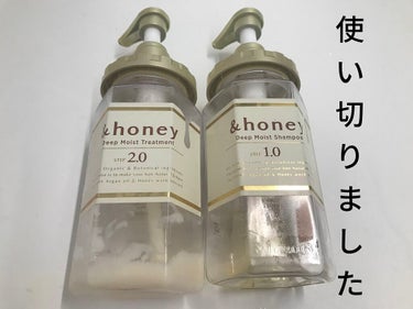 ディープモイスト シャンプー1.0／ヘアトリートメント2.0/&honey/シャンプー・コンディショナーを使ったクチコミ（1枚目）