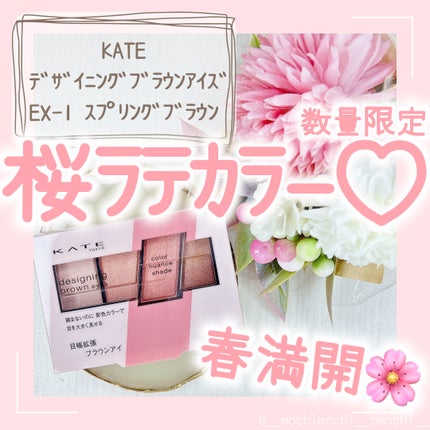 デザイニングブラウンアイズ/KATE/アイシャドウパレットを使ったクチコミ(1枚目)