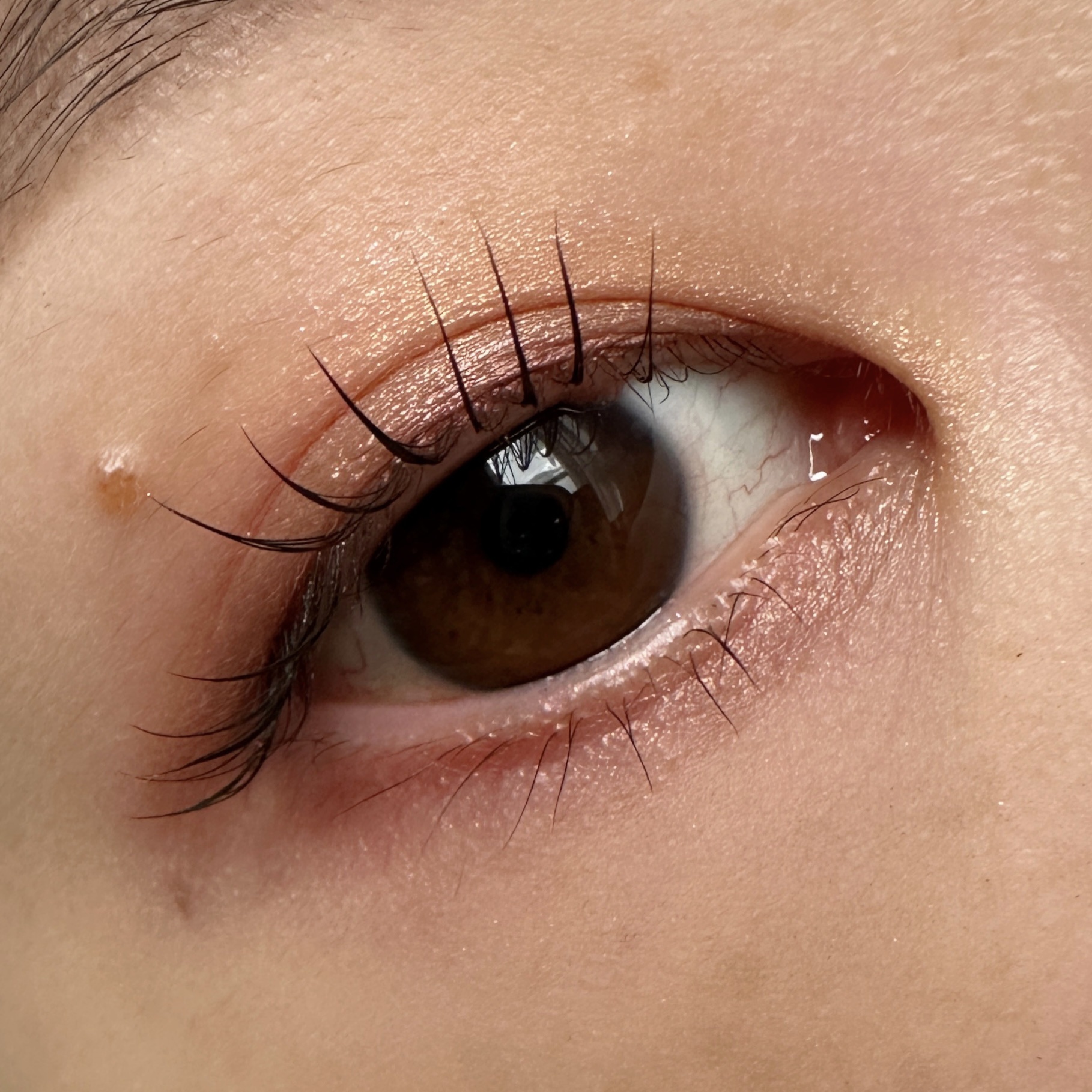 クリーミータッチライナー/キャンメイク/ジェルアイライナーを使ったクチコミ（2枚目）