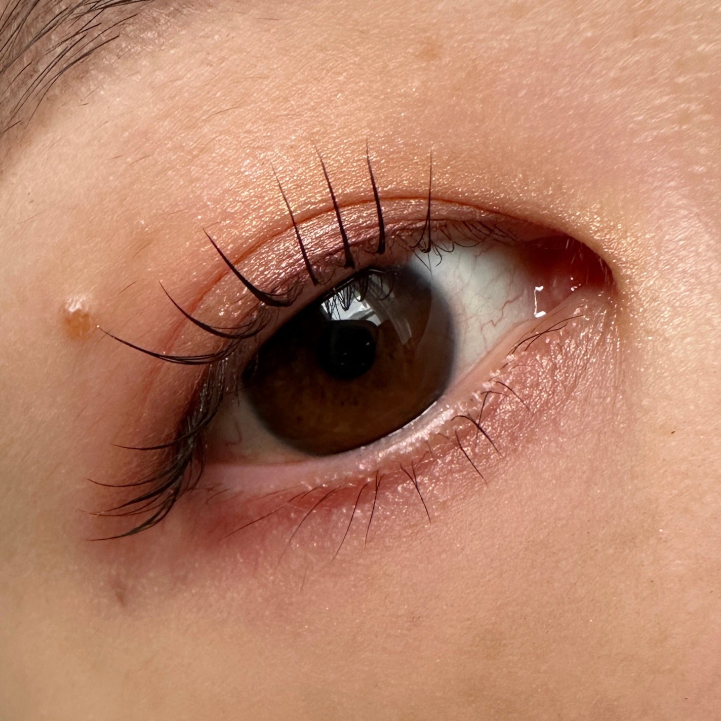 クリーミータッチライナー/キャンメイク/ジェルアイライナーを使ったクチコミ(2枚目)