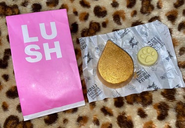 久々のLUSH購入🥳

LUSHはちょっと高いけど、やっぱり匂いも好きやし最高❤️

女子力上がる気がする(＊¨＊)✨ 

プレゼントで貰ったらかなり嬉しいし
プレゼントであげたい感じ🎁

ちょっと高い