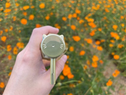 アンドハニー ピクシー モイストシルキー ヘアオイル3.0/&honey/ヘアオイルを使ったクチコミ(6枚目)