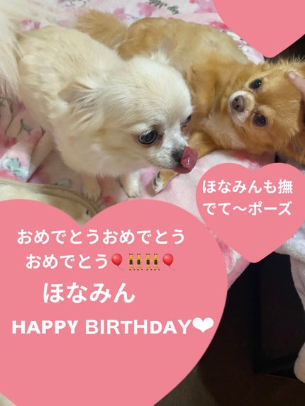 カラフルネイルズ/キャンメイク/マニキュアを使ったクチコミ(7枚目)