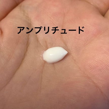 フェイスプロテクター/Amplitude/化粧下地を使ったクチコミ(3枚目)