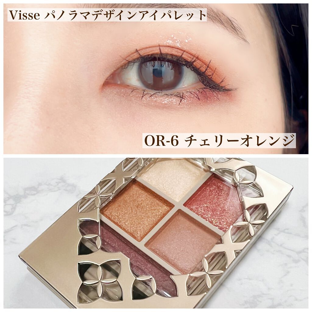 パノラマデザイン アイパレット/Visée/アイシャドウパレットを使ったクチコミ(1枚目)
