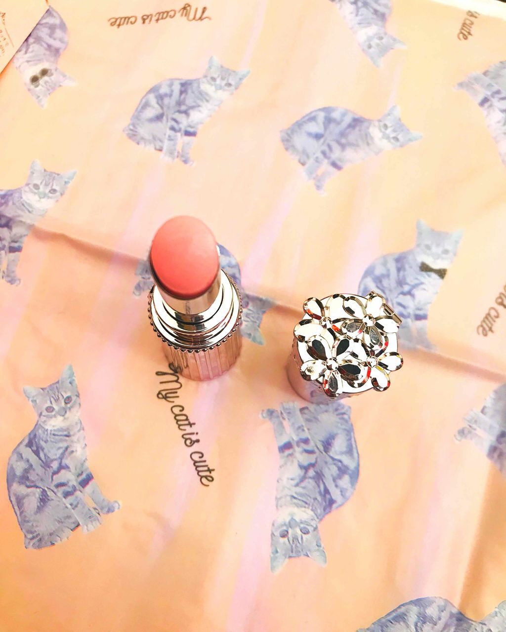 リップブロッサム (旧)/JILL STUART/口紅を使ったクチコミ（3枚目）