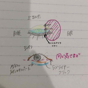 パーフェクトマルチアイズ/キャンメイク/パウダーアイシャドウを使ったクチコミ（3枚目）