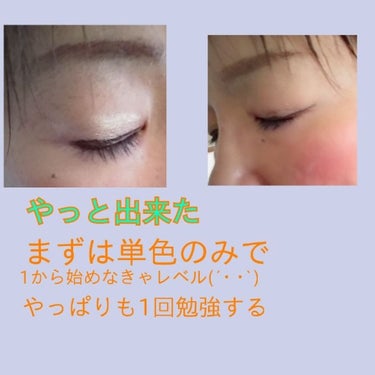 せいちゃん ☺️ Use up党♡ on LIPS 「昨日気合い入れ直してみるって言ってこんな感じ(´･･`)アイメ..」（1枚目）