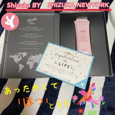 シズカホットクレイクレンジング/Shizuka BY SHIZUKA NEWYORK/クレンジングクリームを使ったクチコミ（1枚目）