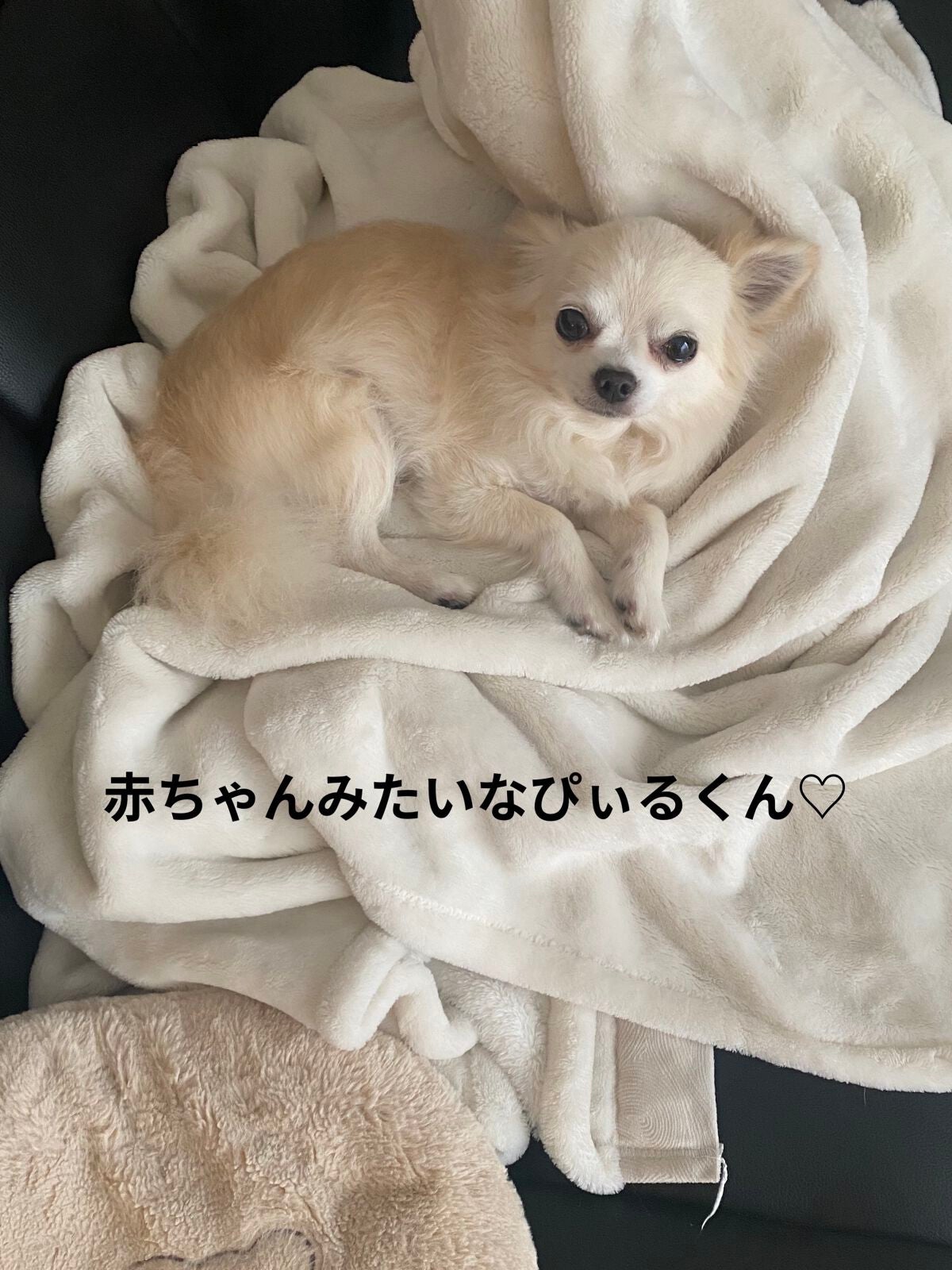 ジューシーラスティングティント/rom&nd/リップティントを使ったクチコミ(8枚目)