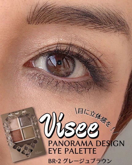パノラマデザイン アイパレット/Visée/アイシャドウパレットを使ったクチコミ(1枚目)