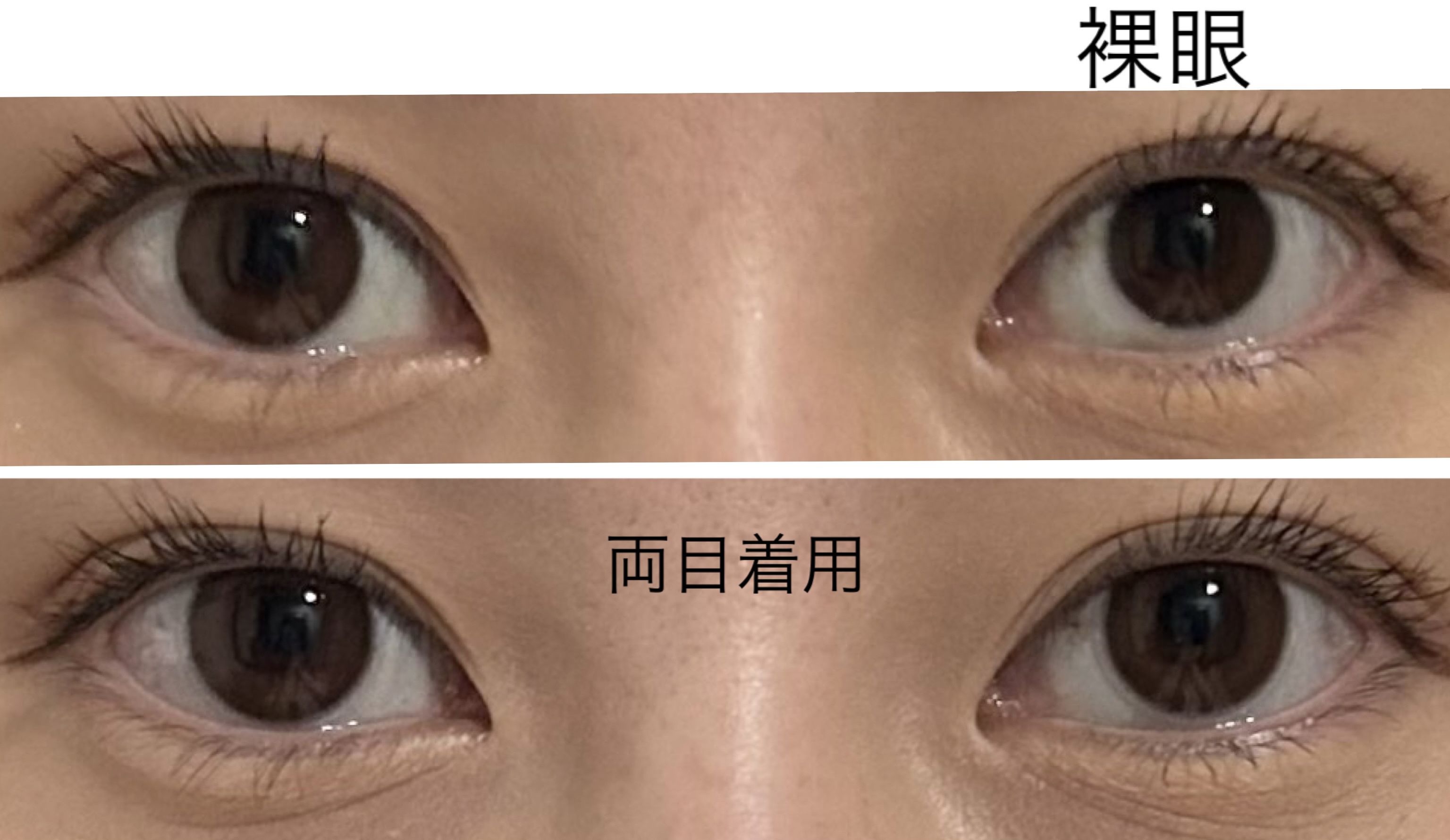 Cheritta 1day/Cheritta/ワンデー（１DAY）カラコンを使ったクチコミ（3枚目）