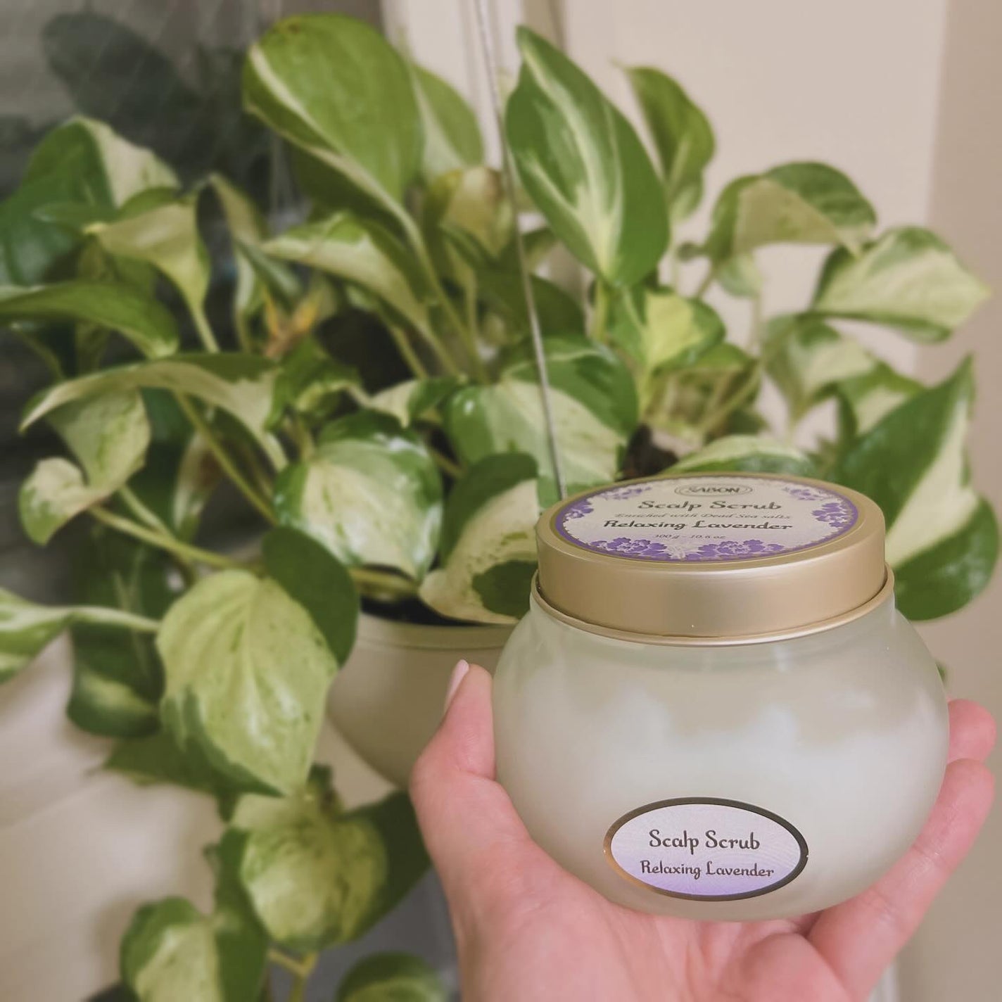 ヘッドスクラブ リラクシング(ラベンダー)/SABON/ヘッドスクラブを使ったクチコミ(1枚目)