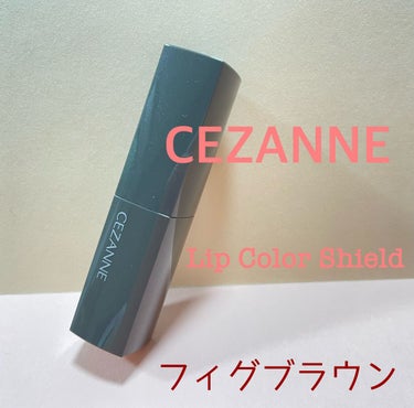 リップカラーシールド/CEZANNE/口紅を使ったクチコミ（1枚目）