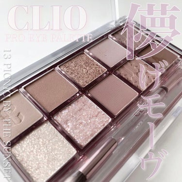 


ブルベ向けピンククールトーンパレット


CLIO
プロ アイ パレット
13 PICNIC BY THE SUNSET



コスメ好きなら誰しもが持っているであろうクリオのプロアイパレット

