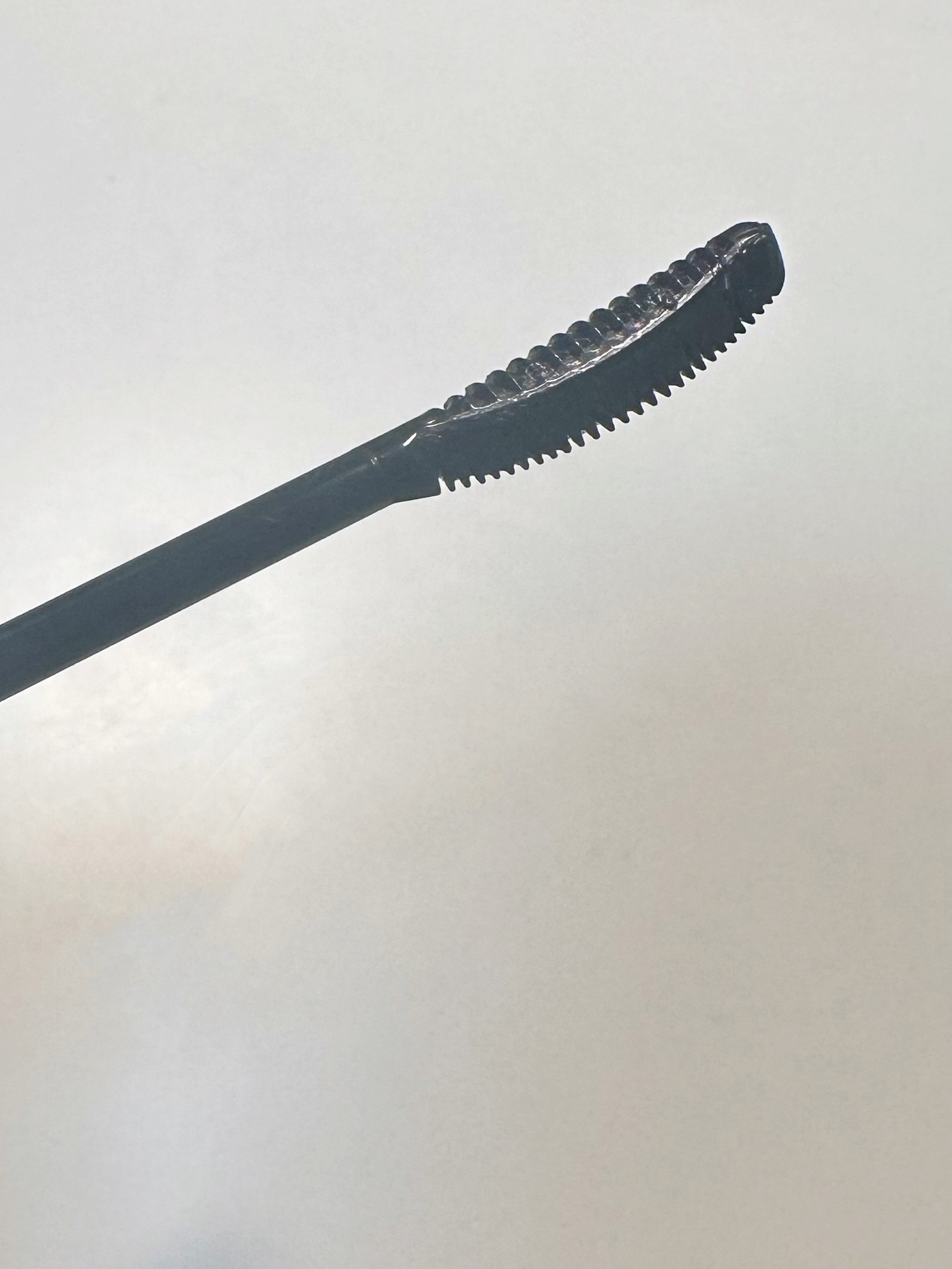 キングダム 束感カールマスカラ/キングダム/マスカラを使ったクチコミ（2枚目）