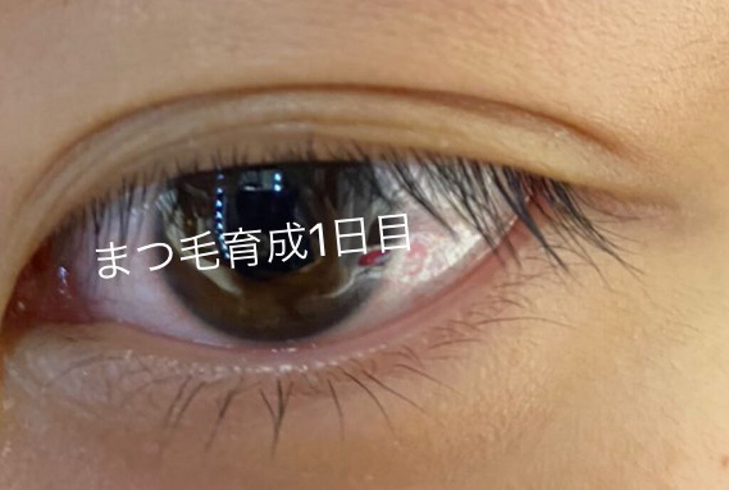 EMAKED(エマーキット)/水橋保寿堂製薬/まつげ美容液を使ったクチコミ(3枚目)