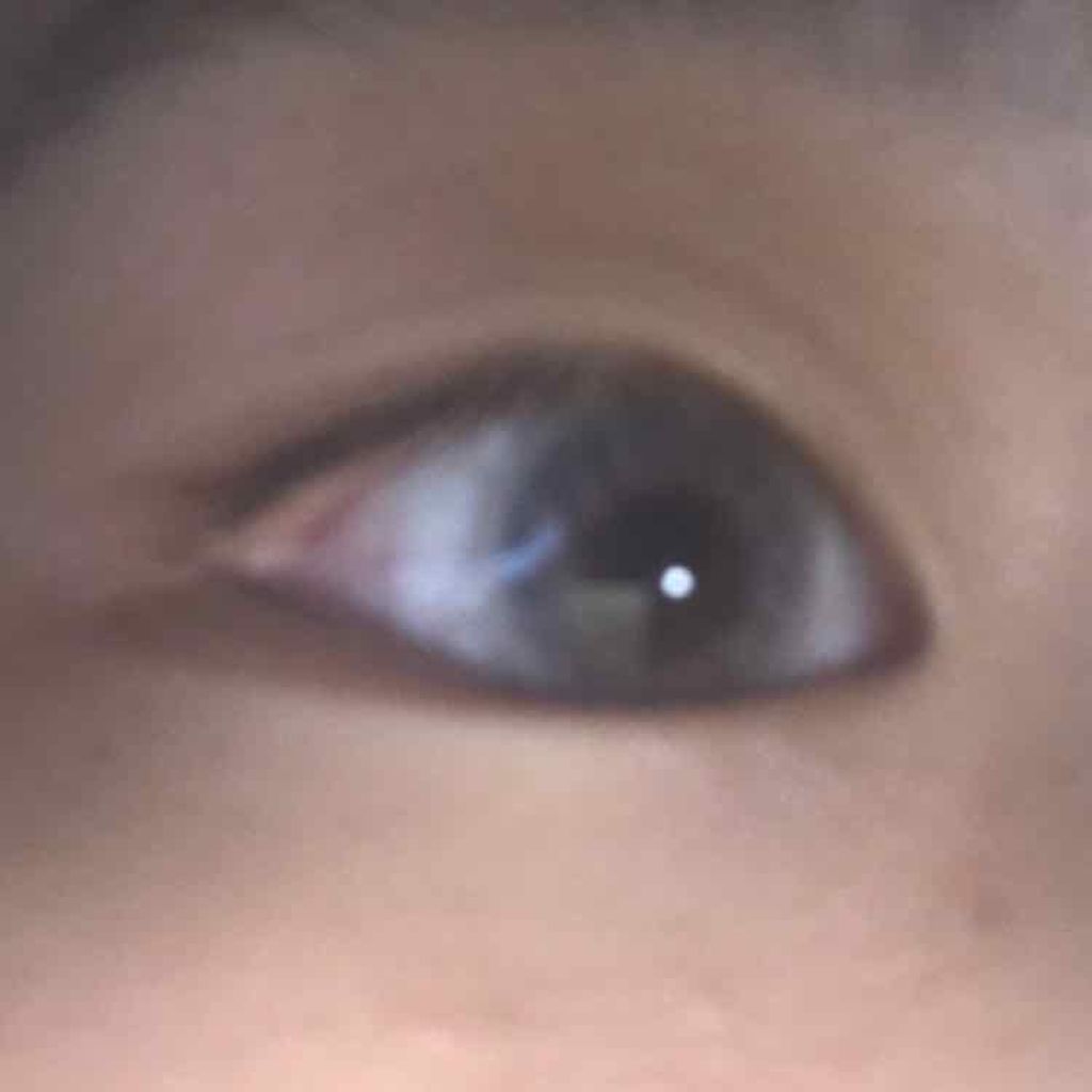 パーフェクトマルチアイズ/キャンメイク/アイシャドウパレットを使ったクチコミ(3枚目)