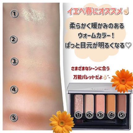 ジュエルアイカラーコレクション/Armuje/アイシャドウパレットを使ったクチコミ(3枚目)