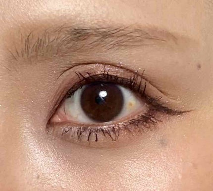 ウォンテッド トレジャーボックス アイパレット グランドライン/shu uemura/アイシャドウパレットを使ったクチコミ(3枚目)