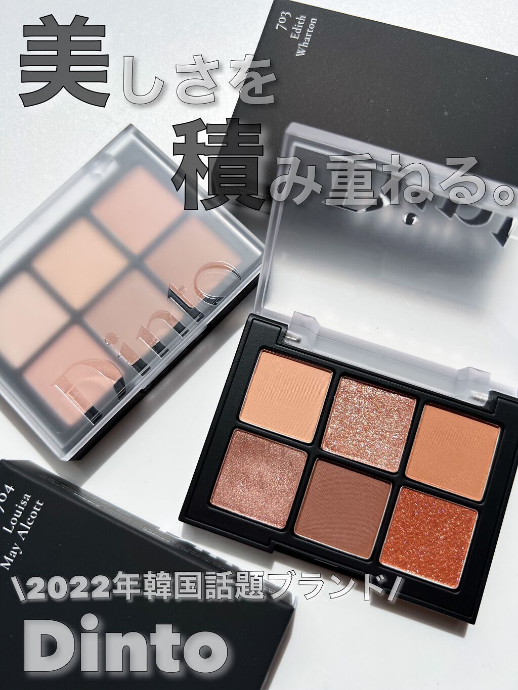 ブラーフィニシュシャドウパレット/Dinto/アイシャドウパレットを使ったクチコミ（1枚目）