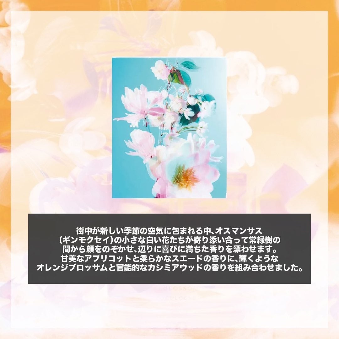 オスマンサス ブロッサム コロン/Jo MALONE LONDON/香水(レディース)を使ったクチコミ(2枚目)