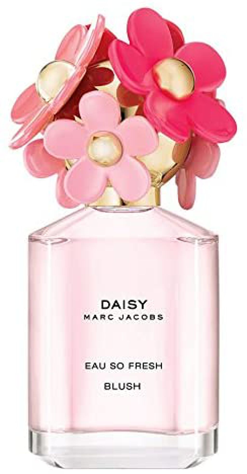 Daisy Eau So Fresh Blush EDT / MARC JACOBS