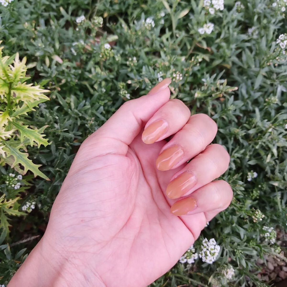 irogel/irogel(イロジェル)/ジェルネイルを使ったクチコミ(1枚目)