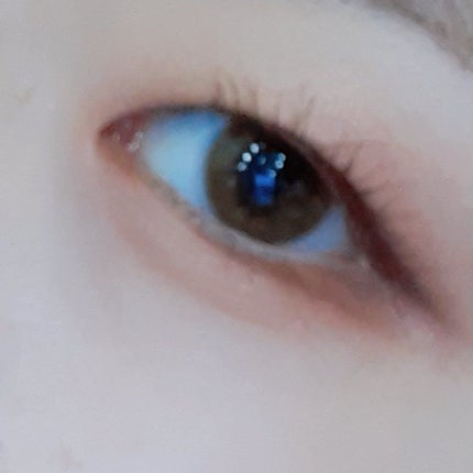 シルキースフレアイズ/キャンメイク/アイシャドウパレットを使ったクチコミ(6枚目)