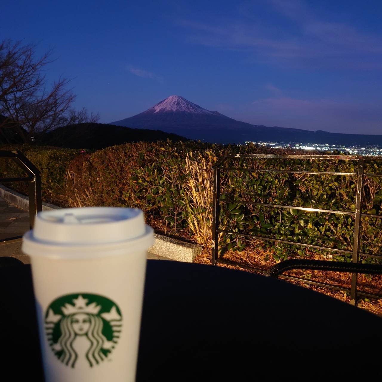 DHC メリロート/DHC/ボディサプリメントを使ったクチコミ（3枚目）