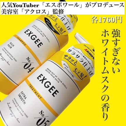 エグジー シャンプー/トリートメント/EXGEE/市販シャンプーを使ったクチコミ(2枚目)