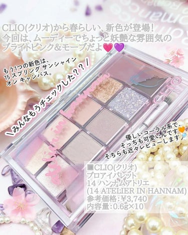 プロ アイ パレット 14 ATELIER IN HANNAM/CLIO/アイシャドウパレットを使ったクチコミ（2枚目）