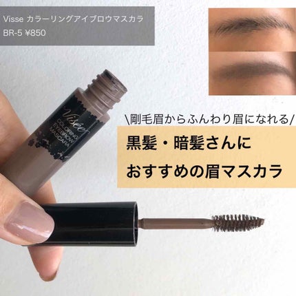 リシェ カラーリング アイブロウマスカラ/Visée/眉マスカラを使ったクチコミ(1枚目)