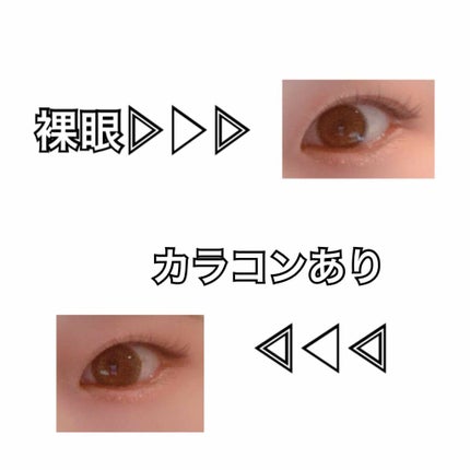 1DAY Refrear elebelle/Refrear/ワンデー(1DAY)カラコンを使ったクチコミ(2枚目)