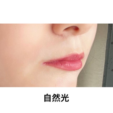 ネンマクフェイク リキッド/Visée/口紅を使ったクチコミ(4枚目)