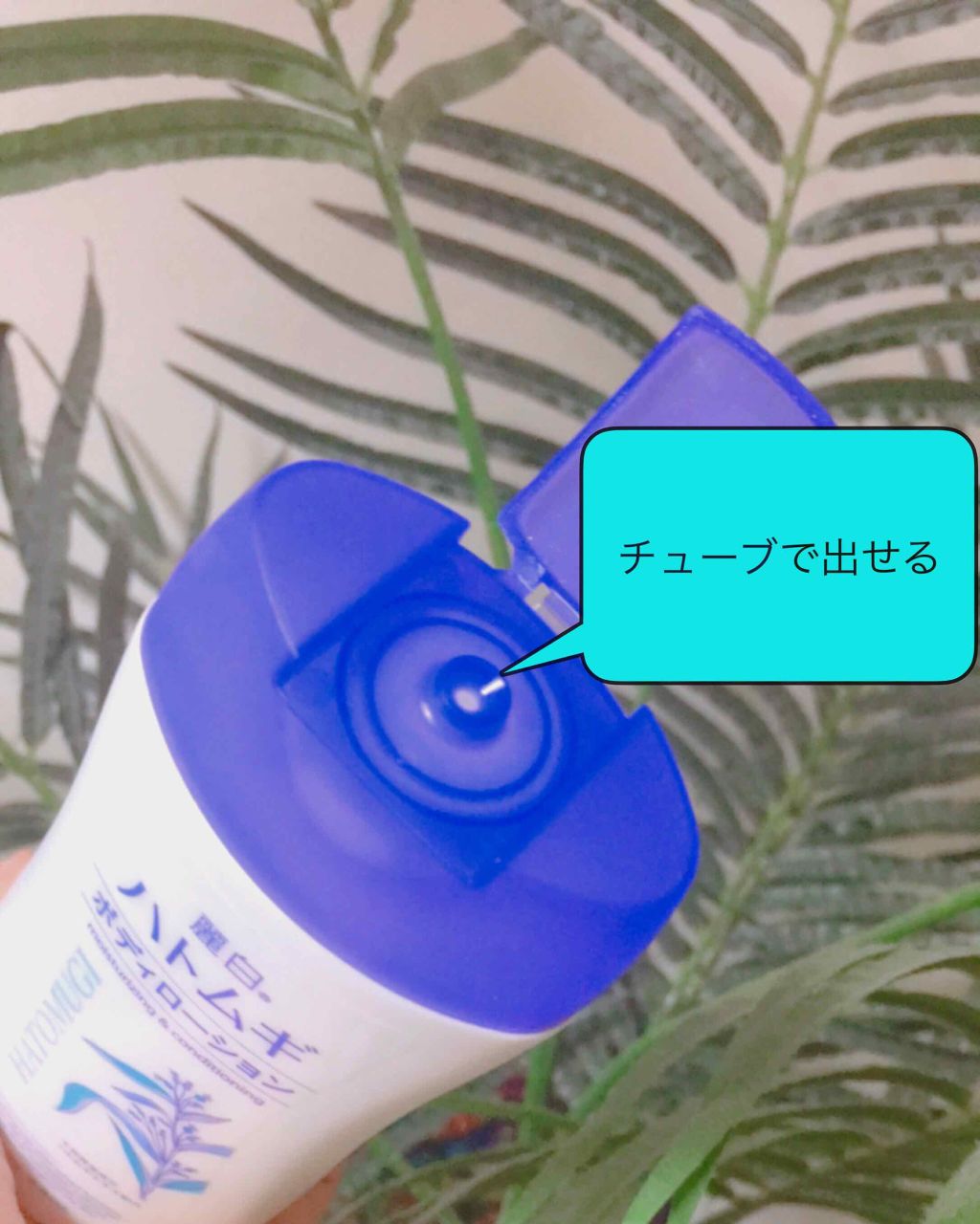 ハトムギ ボディローション/麗白/ボディローションを使ったクチコミ（2枚目）