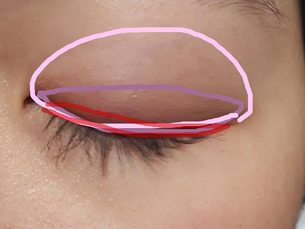 グロウフルールチークス/キャンメイク/パウダーチークを使ったクチコミ(2枚目)