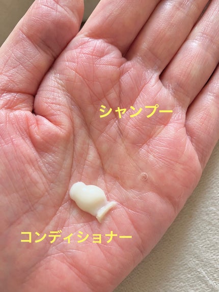 オイルインシャンプー/オイルインコンディショナー (グロス&リペア)/ディアボーテ/市販シャンプーを使ったクチコミ(2枚目)