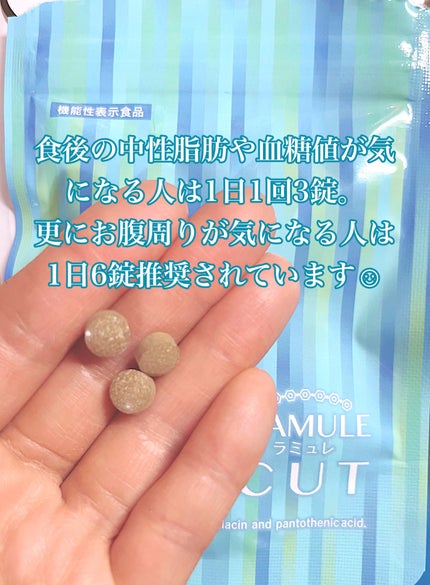 ラミュレ カット/日本薬健/ボディサプリメントを使ったクチコミ(4枚目)